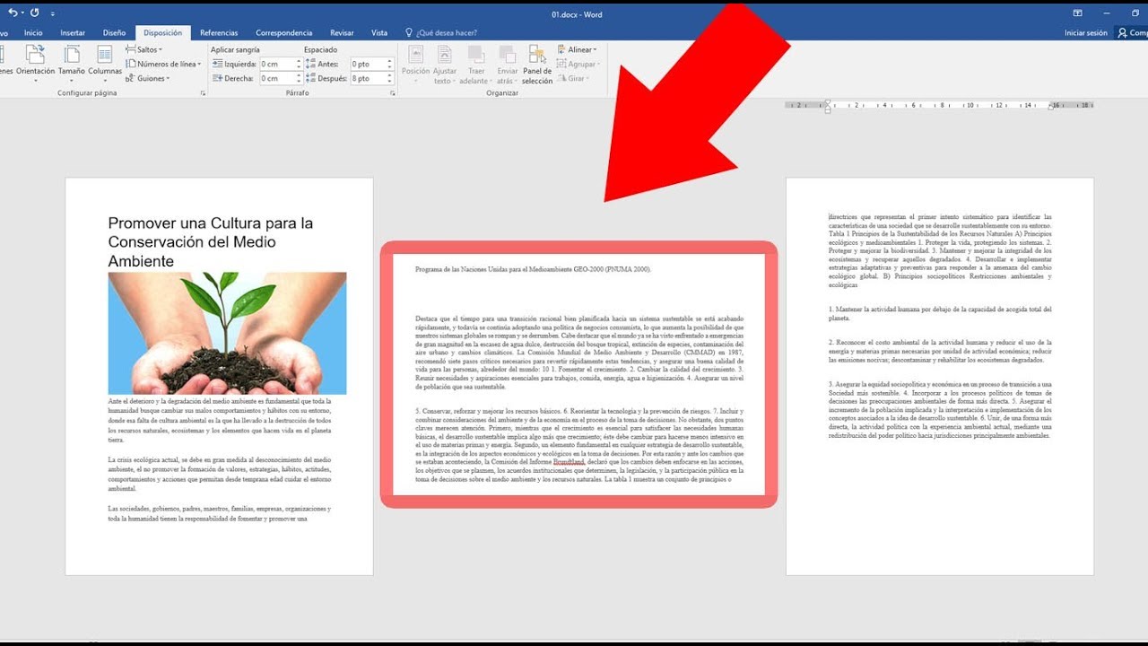 como colocar solo una pagina horizontal en word