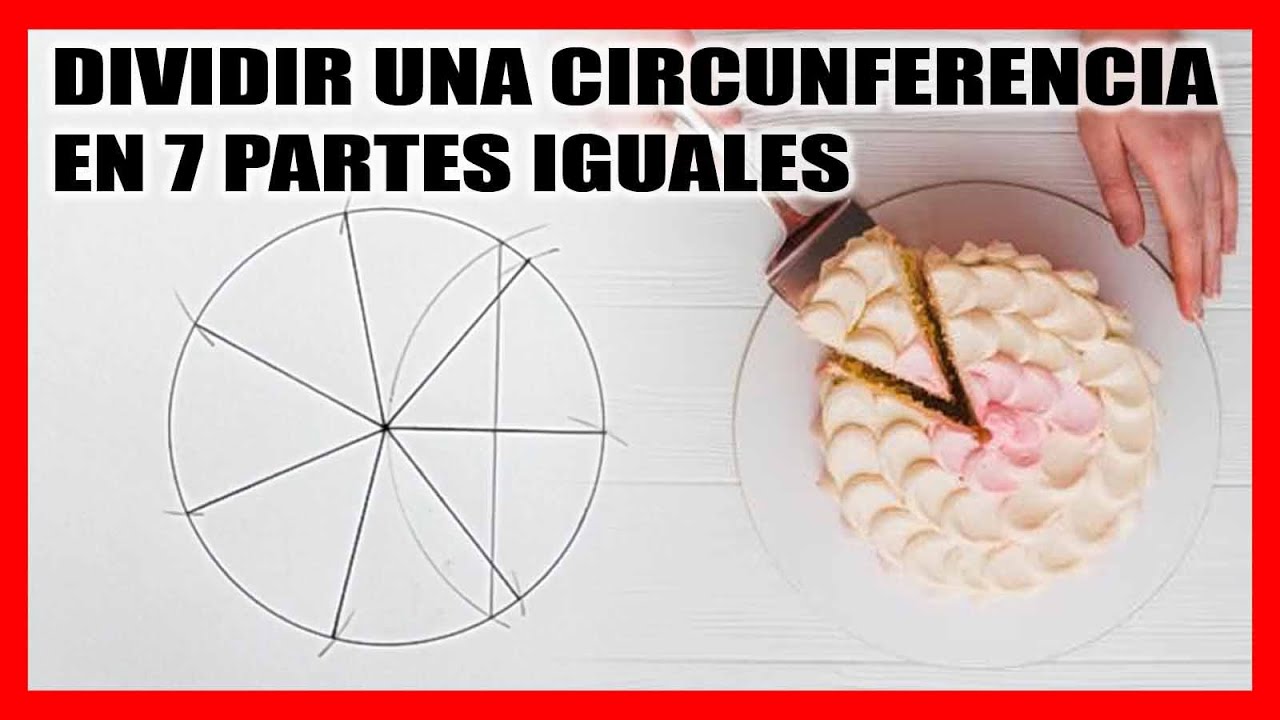 como dividir un circulo en 7 partes