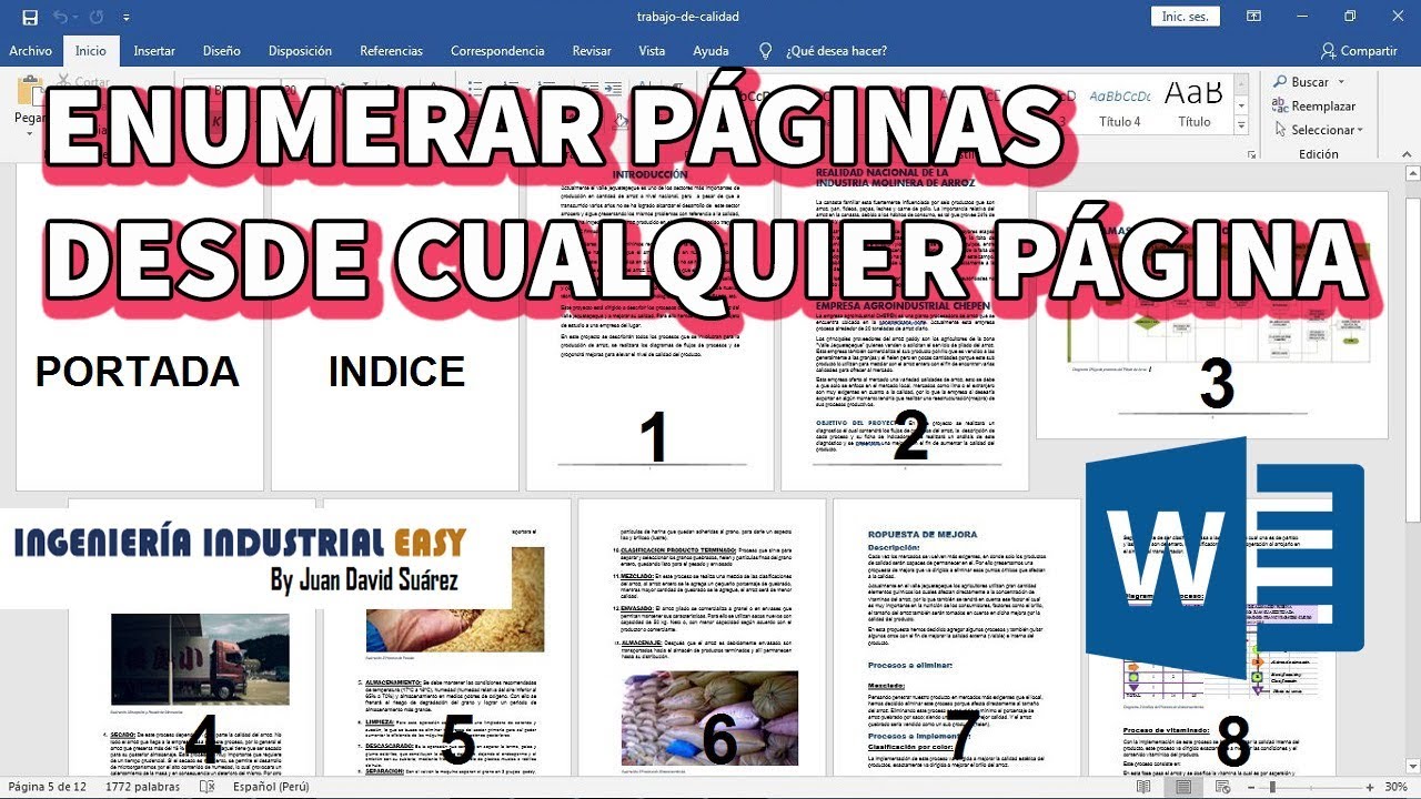 como se numeran las paginas de un libro