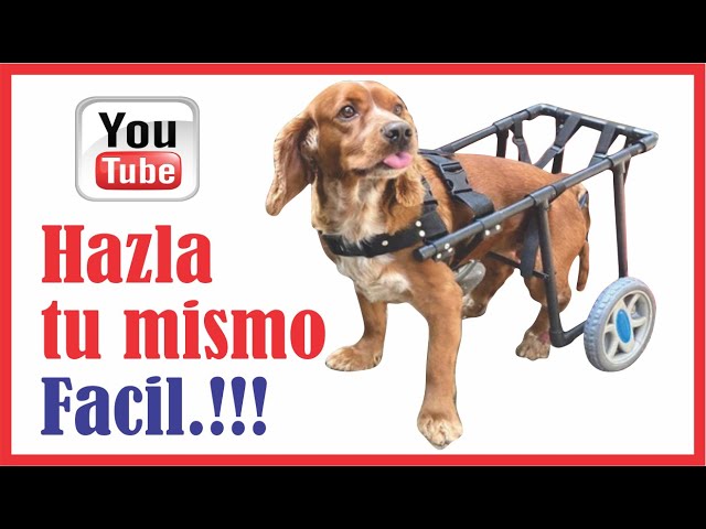 planos silla de ruedas para perros