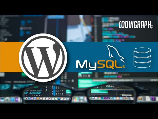 plugin consulta base de datos wordpress