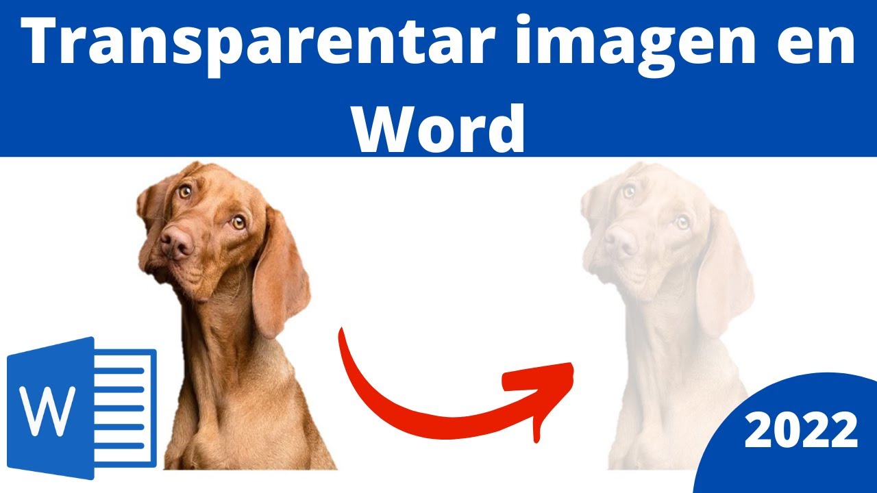 como hacer imagenes transparentes en word