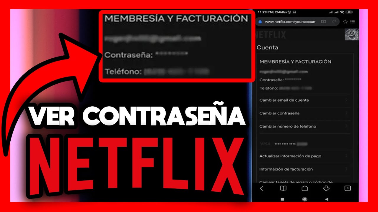 como hacer visible la contraseña de netflix