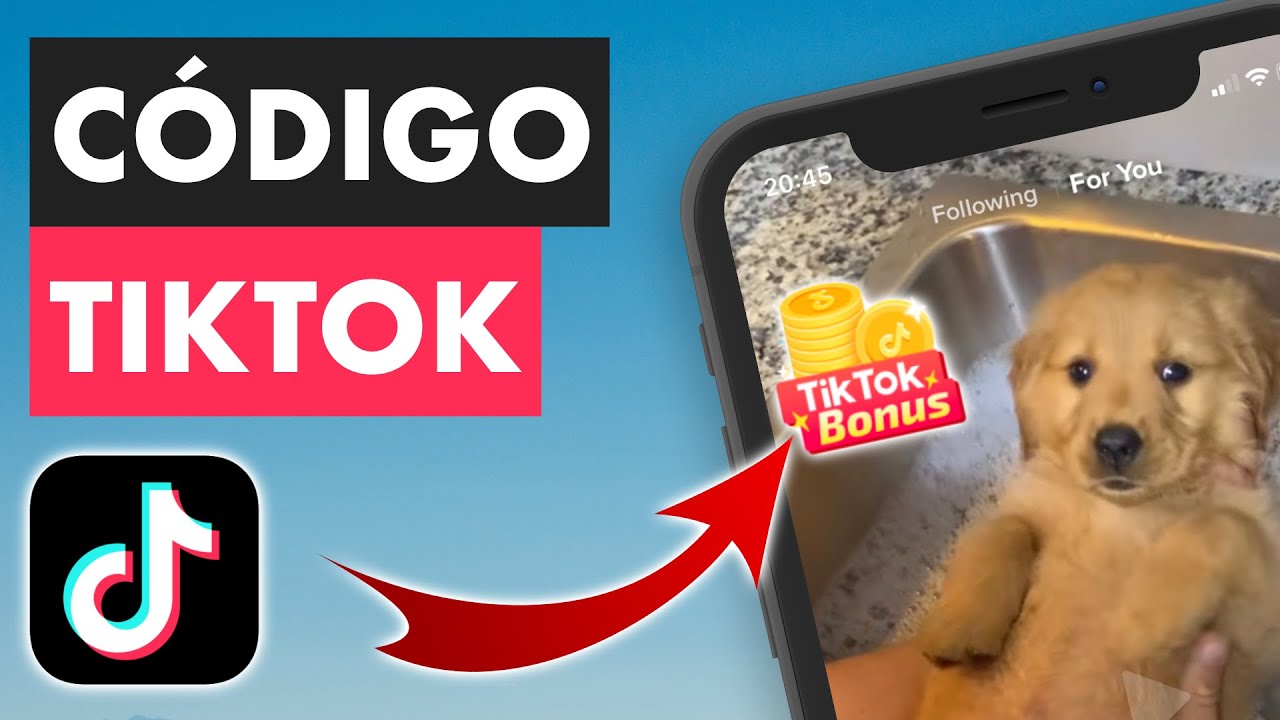 donde poner el codigo de tiktok