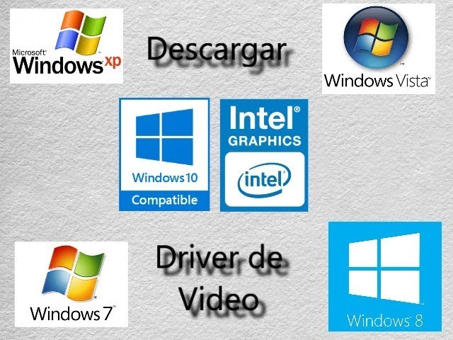 drive de video para windows xp